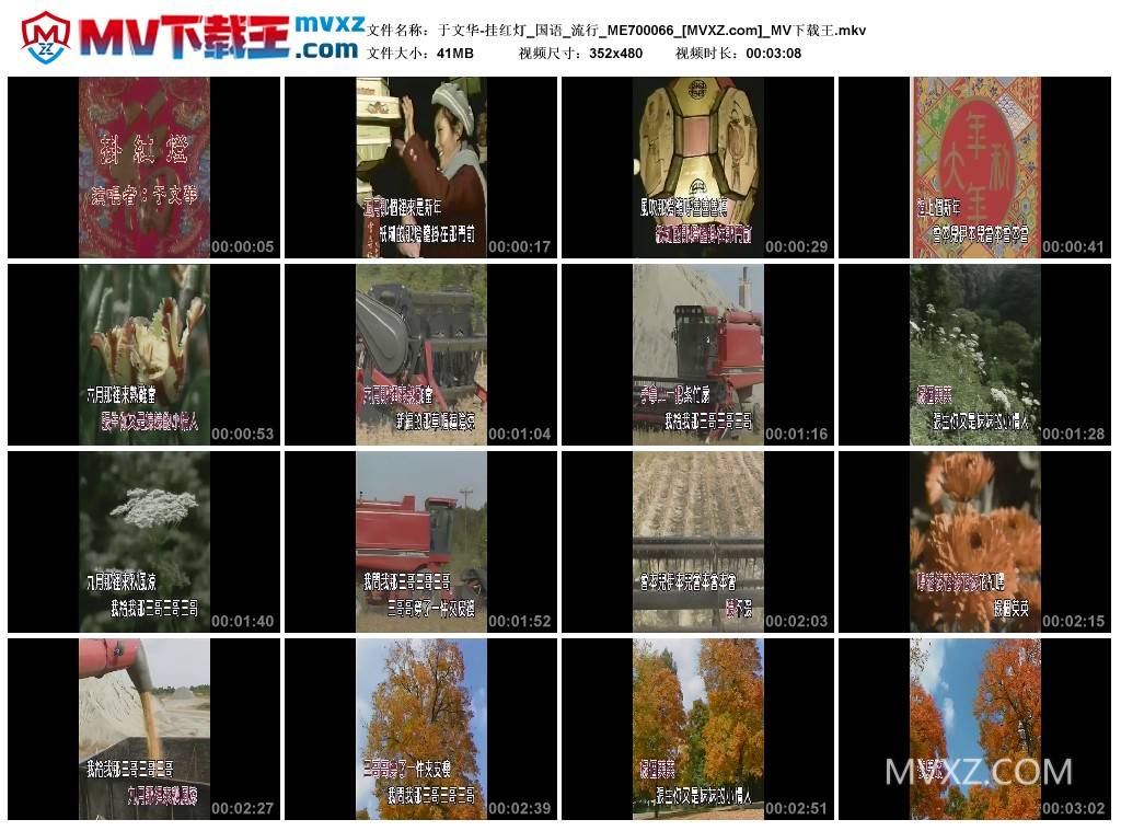 于文华-挂红灯_国语_流行_ME700066